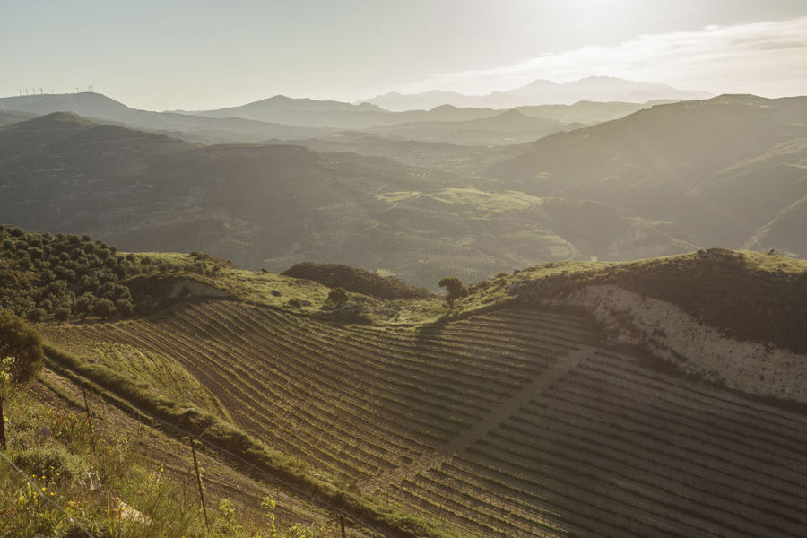 'Domaine Zacharioudakis' vineyards from above in the background of mountains