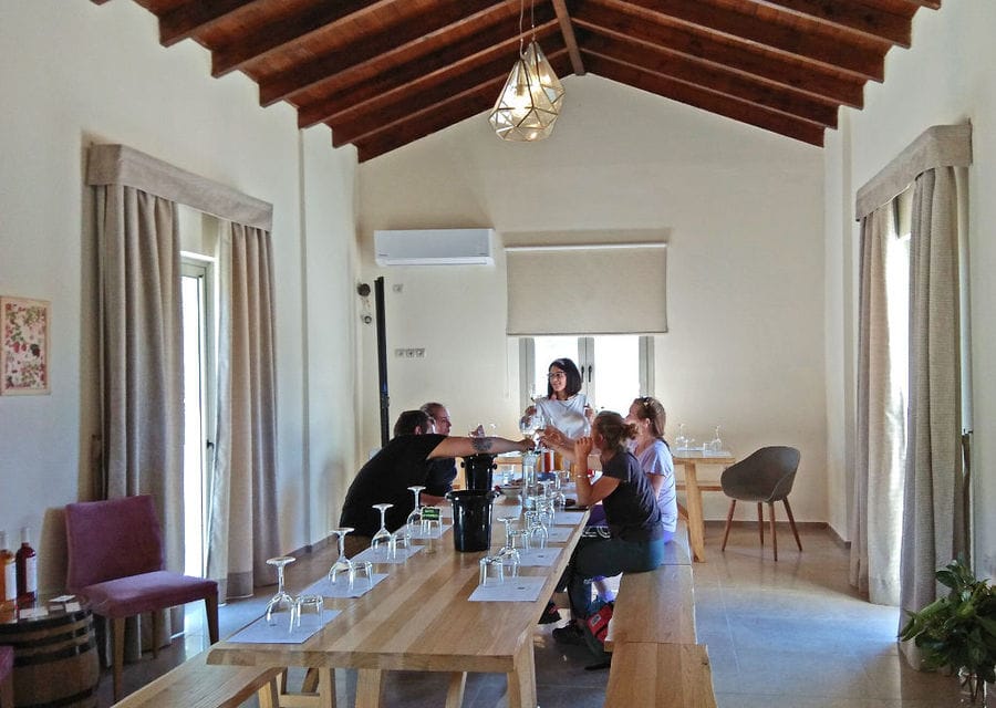 tourists tasting wines and listening to a guide at 'Kourkoulou Winery'