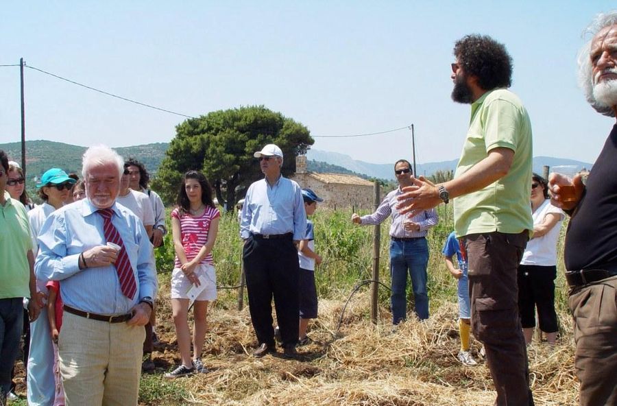 A group of tourists listening to a guide with a beard giving a tour at Georgas Family vineyards