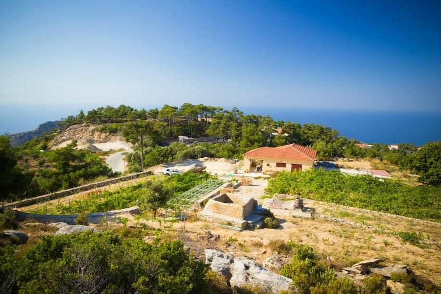 Afianes wines from above, surrounded by trees and vines and the blue sky in the background