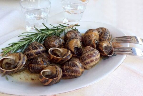 Close-up of plateau with ‘boubouristi’ means snails fried in olive oil with fresh rosemary
