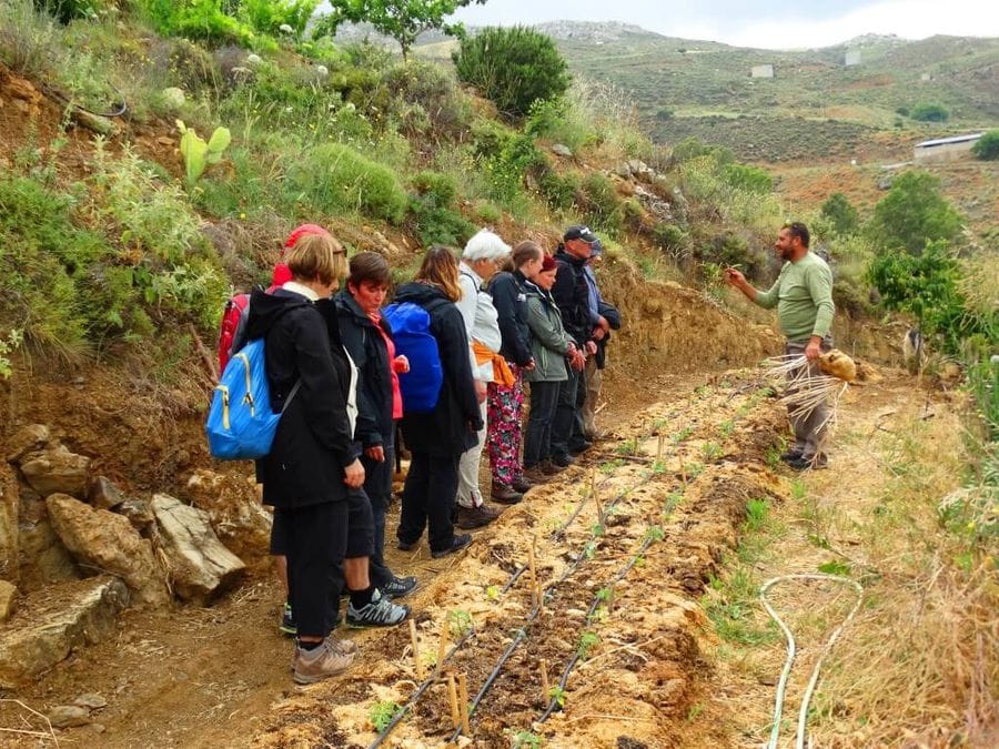 A group of eight people, led by a guide, explore a vibrant farm. Smiles abound as they learn about agriculture and embrace the rural beauty.