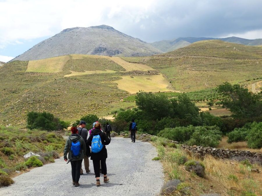 A group of people walks together on a downward road, their steps synchronized. Unified in purpose, they journey with confidence, eager to embrace the adventures awaiting them below.