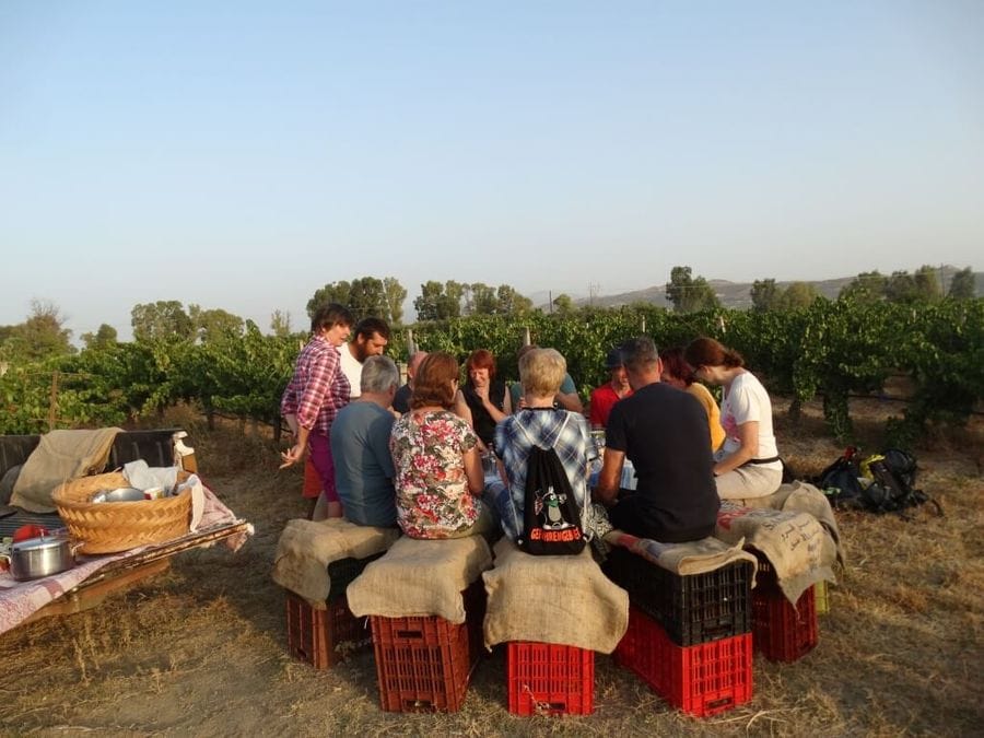 A charming scene unfolds in the farm as people sit on rustic stools. Conversations flow, laughter fills the air, and bonds are forged amidst the serene agricultural backdrop.