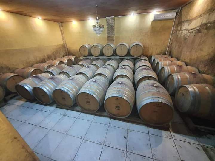 Wine cellar with barrels