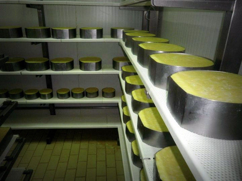corner with lying 'graviera' cheeses balls on shelves at 'Flegga Creamery' plant