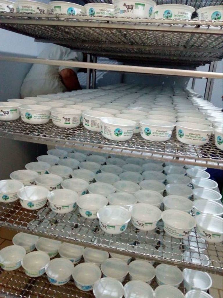 yogurt cups on shelves on top of each other at 'Flegga Creamery' plant