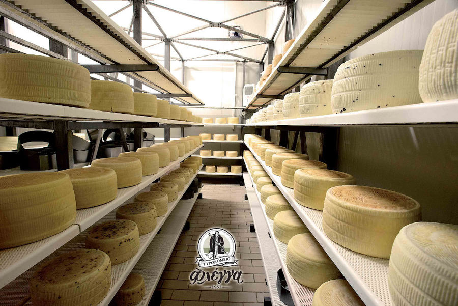 corridor and on the both sides lying 'graviera' cheeses balls on shelves at 'Flegga Creamery' plant