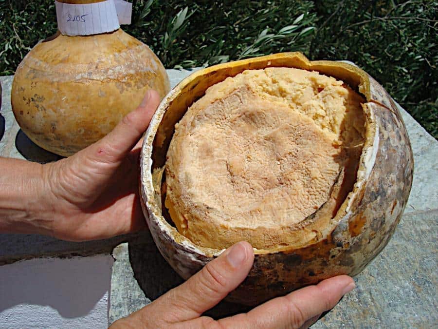 Woman holding a pumpkin with kariki cheese and showing at the camera