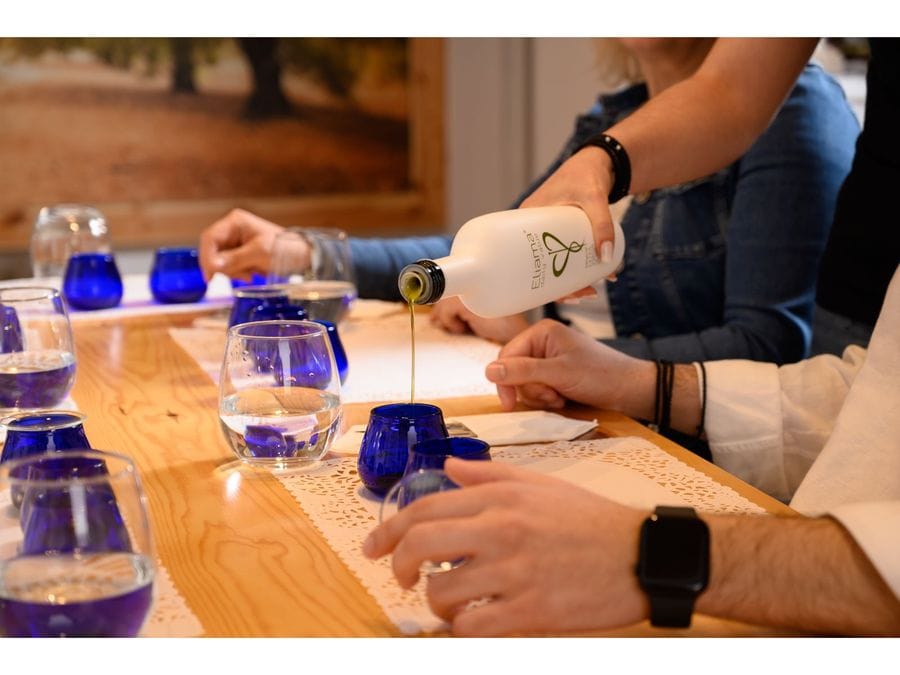 An inviting table is adorned with a variety of olive oils, each awaiting exploration. Blue glasses stand ready, reflecting the anticipation of a flavorful journey into the world of liquid gold.