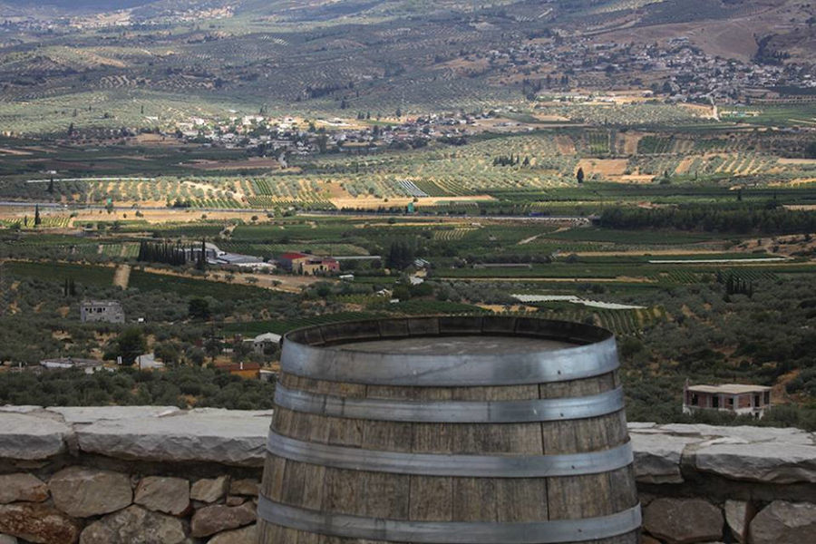 view from above with trees, buildings and mountains from Lafkiotis Winery terrace from a wood barrel