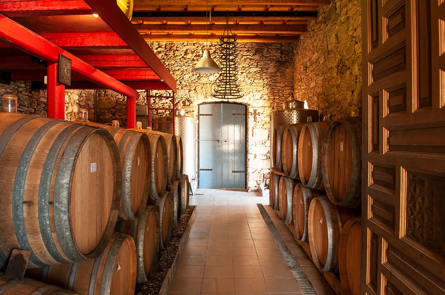 Montofoli Wine Cellar (3).jpg