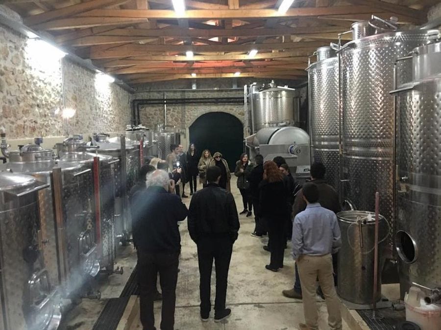 Nemeion Estate guide presenting tourists the aluminum wine storage tanks and the plant