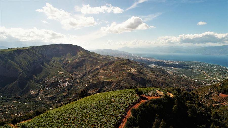 Rouvalis Winery vineyards in the background of blue sky and mountains