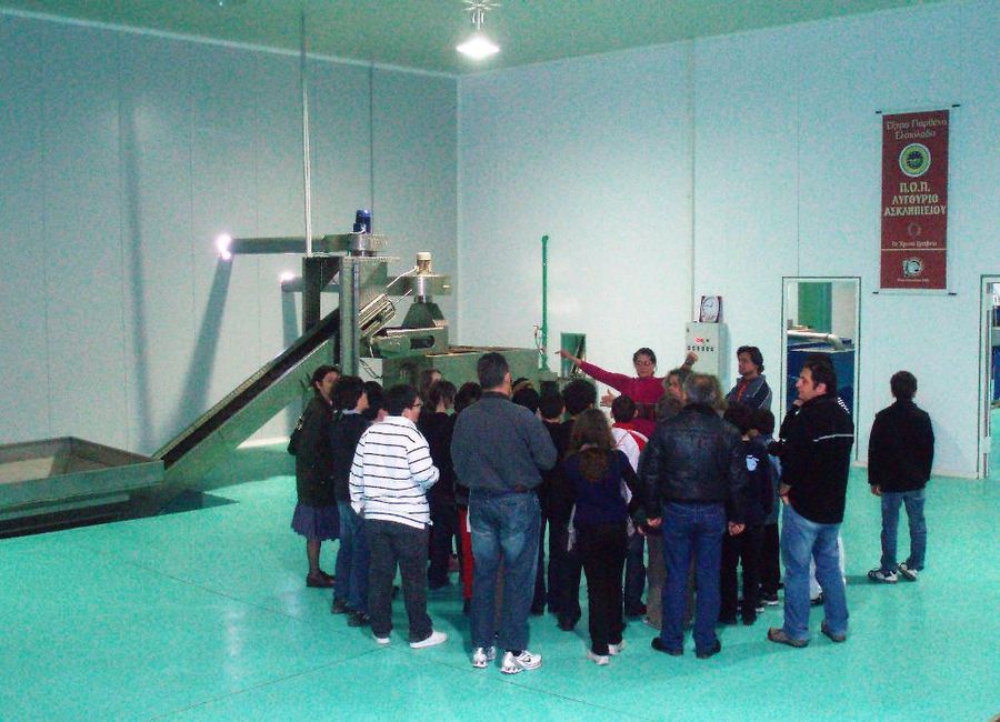 a group of tourists listening to a guide at Melas Epidauros olive oil plant