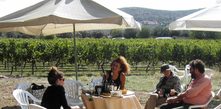 Two couples smiling, discussing and sitting at the table under an umbrella front the Georgas Family vineyards
