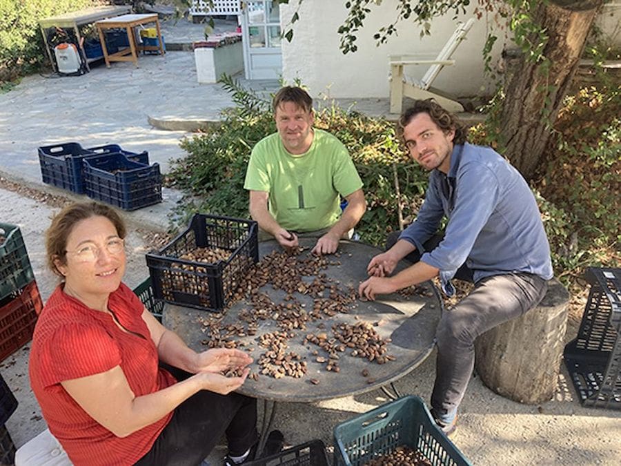 Two men and a woman around the table and select acorns and smiling to the camera outside at Oakmel