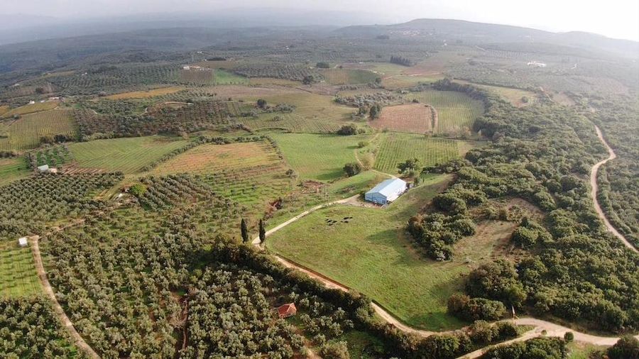 View from above of Domaine Dereskos winery surrounded by vineyards and trees