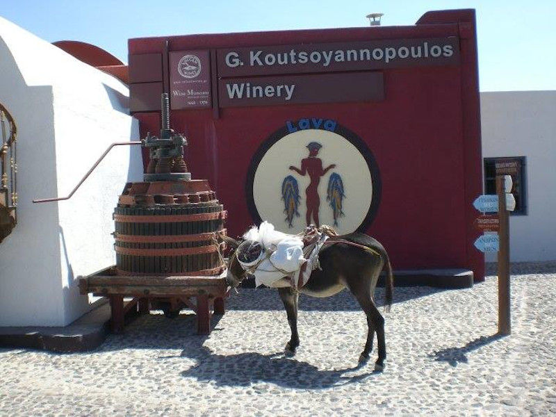red panel that says 'G. Koutsoyannopoulos Winery' and old grapes press
