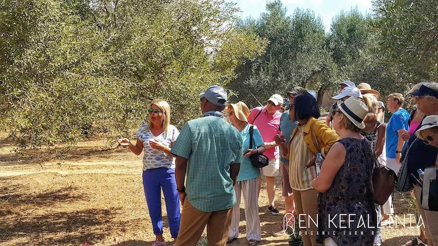 woman giving a guide and a group of tourists listening at En Kefallinia Organic Farm Restaurant olives grove