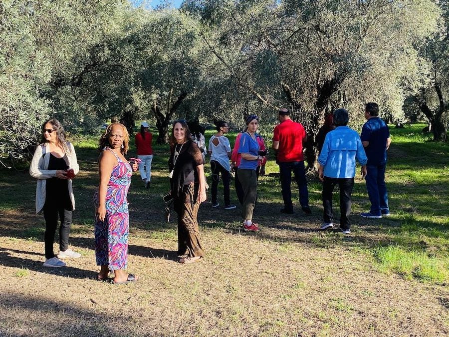 a group of tourists walking and some women watching and smile happily at the camera at Socrates Olive Oil olive grove