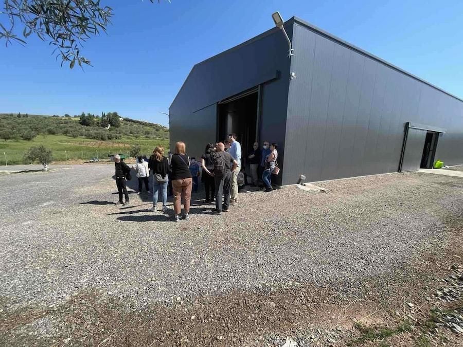 a group of tourits outside at Askra Olive Oil