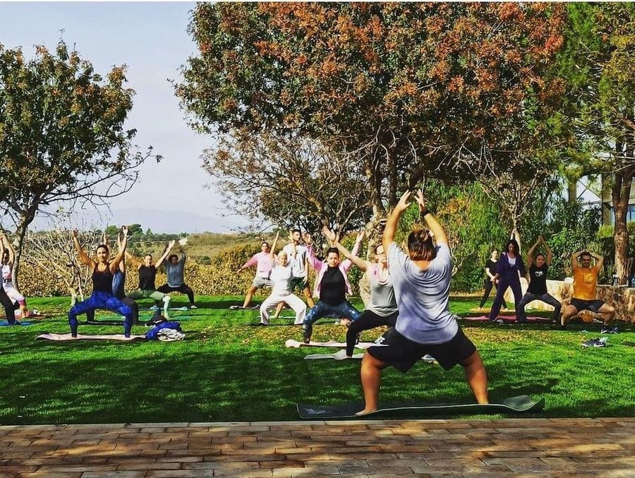 a group of women and men doing Pilates outside at Domaine Papagiannakos surrounded by trees