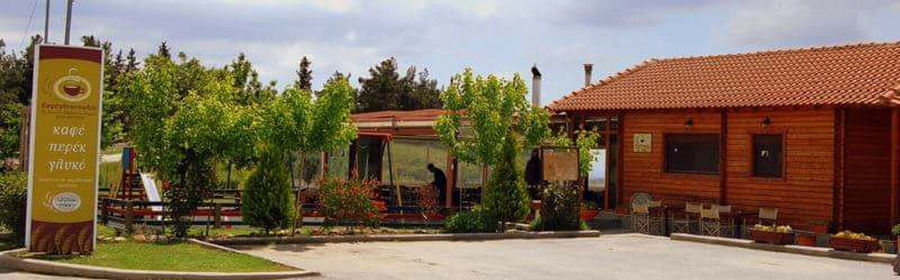 'Agios Antonios Women’s Agri Cooperative' complex with play garden and surrounded by trees