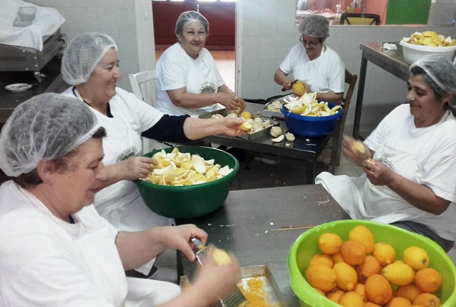 women around the table peeling lemons at 'Agios Antonios Women’s Agri Cooperative'
