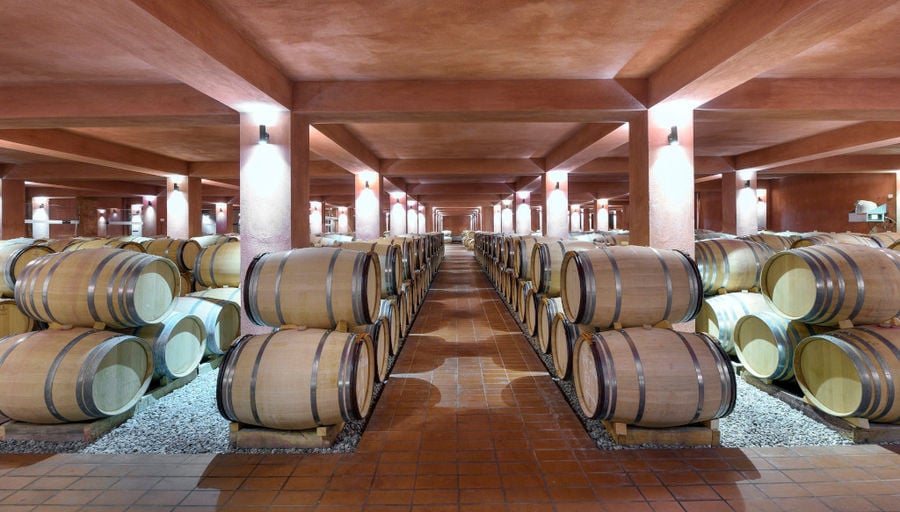 rows of wine wood barrels on top of each other at illuminated Alpha Estate cellar