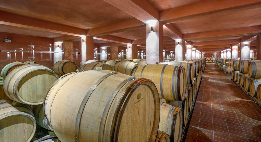 rows of wine wood barrels on top of each other at illuminated Alpha Estate cellar