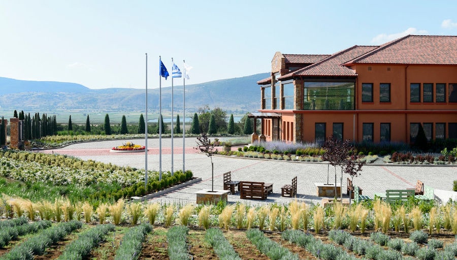 on side of Alpha Estate building and rows of plants and stone pavement