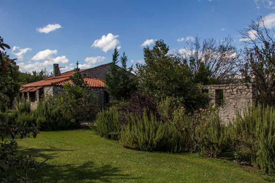 green lawn and brunches of green plants in the front of Amfikaia stone buildings