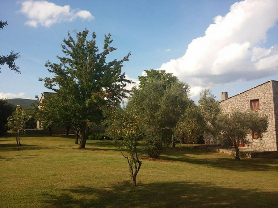 trees on the green grass and on side of Amfikaia building in the background