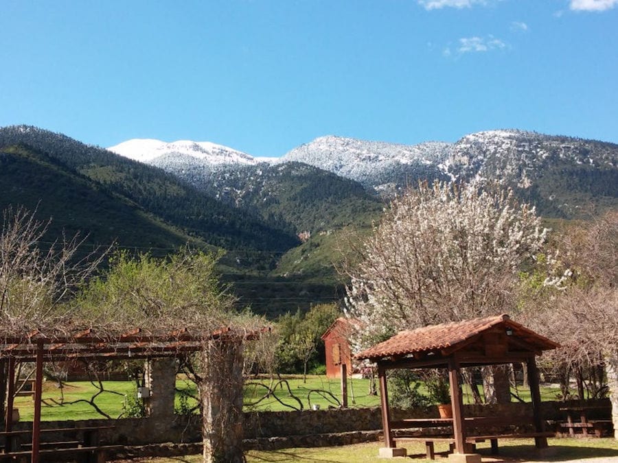 wood watchtowers surrounded by Amfikaia trees and mountains with snow in the background