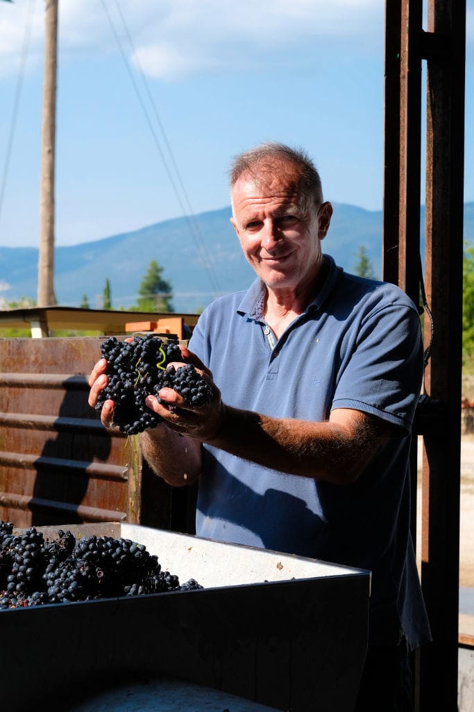man smiling happily at the camera and holding bunches of black grapes at Argyriou Winery