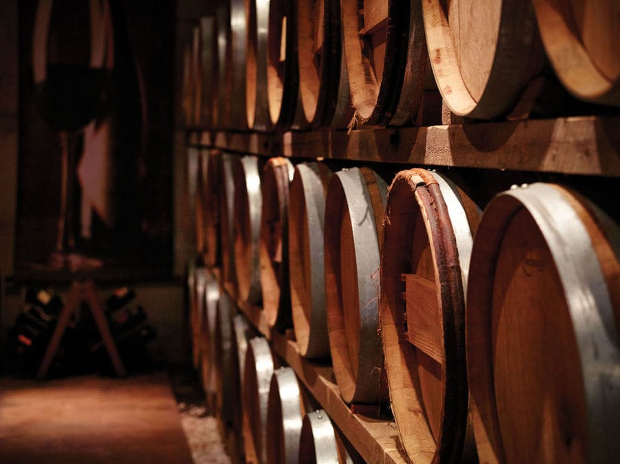 wooden barrels in Avantis Estate's cellar