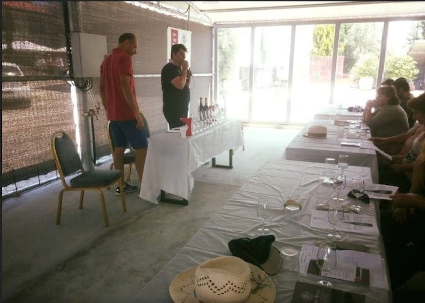 Tourists sitting on the tables and enjoy a wine tasting at Avantis Estate