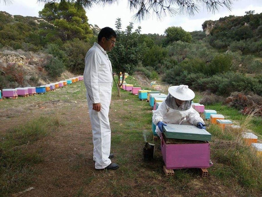 man and beekeeper holds hive with bees, in nature, at Beekeeping Athamari