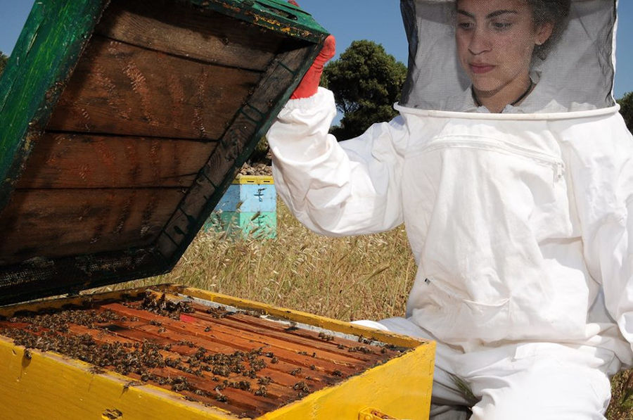 girl dressed with protection equipment, holds hive with bees, in nature, at Beekeeping Athamari