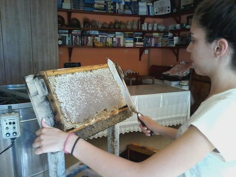 girl cleaning honey from the hive with a knife at Beekeeping Athamari premises