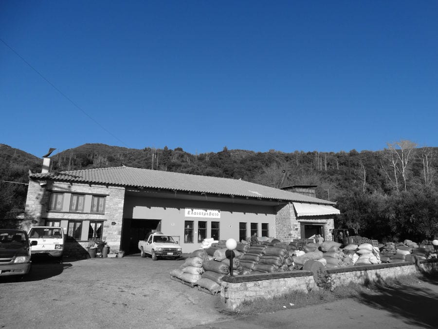 raffia bags and cars at the front of building's Ben Olive Mill