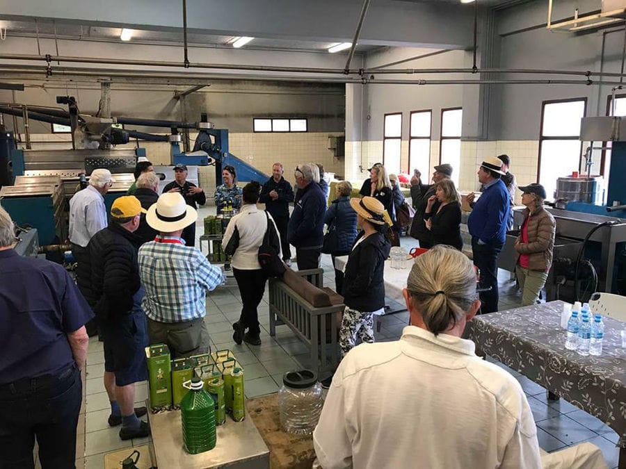 visitors listening to a guide at Ben Olive Mill plant