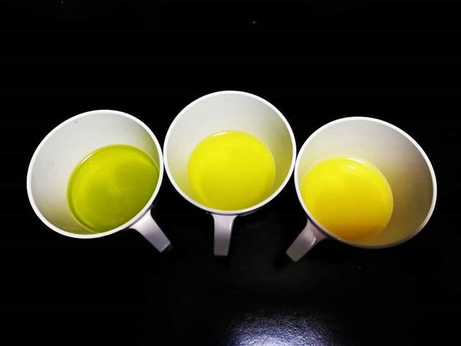 white ceramic cups with olive oil from Ben Olive Mill