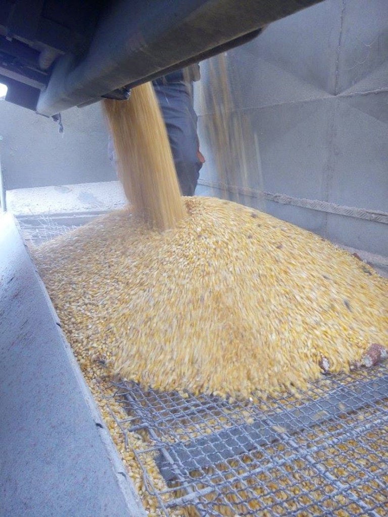 cereals from production machine at BioGreco