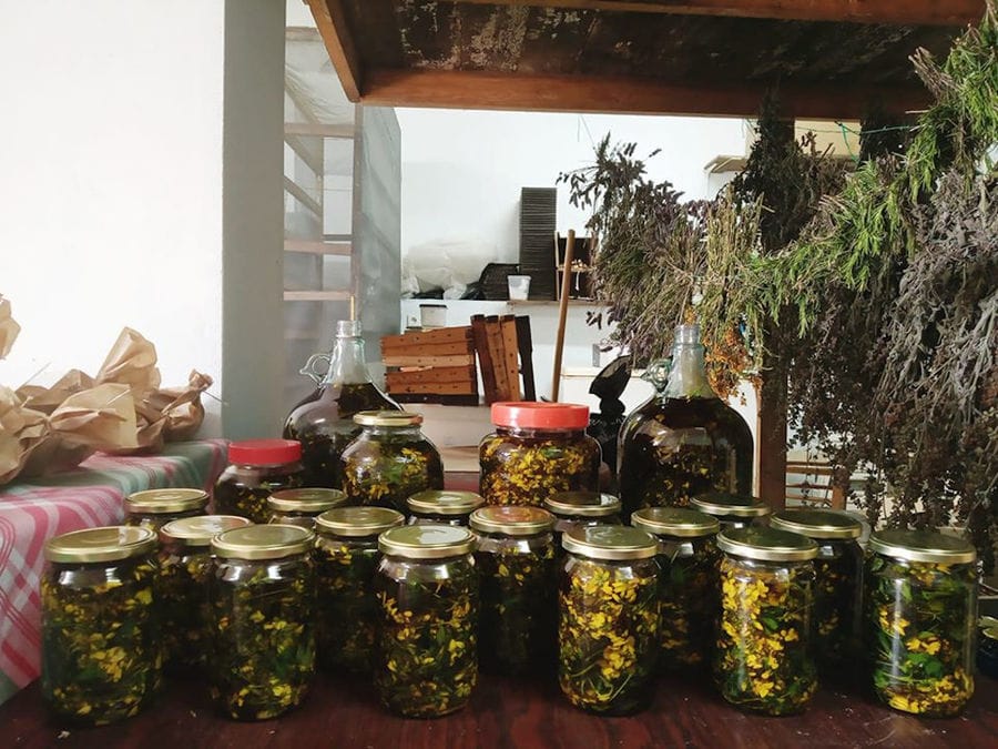 glass jars with legumes covered with metal lids at Bioporos