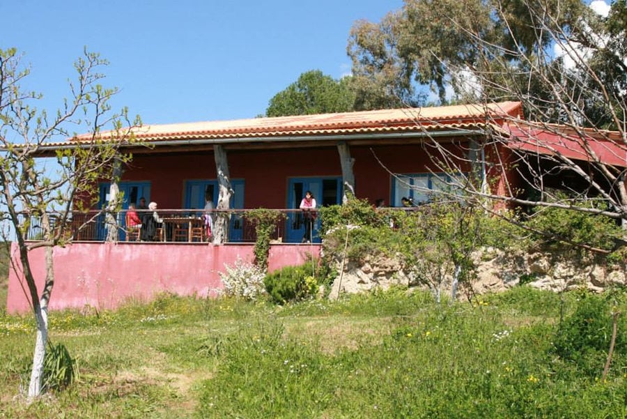 pink house with blue windows and nature at Bioporos