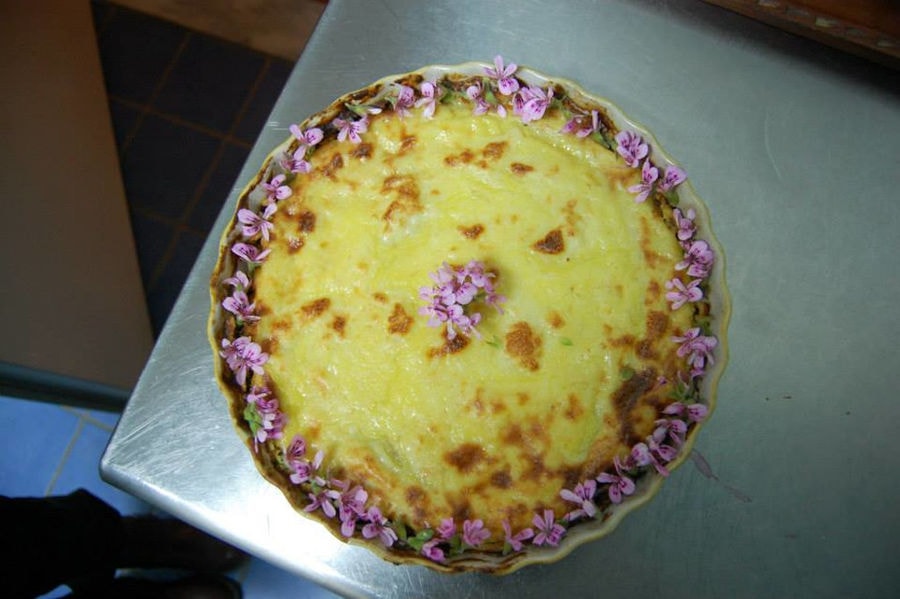plate with sweet pudding decorated with purple flowers on the table from Bioporos