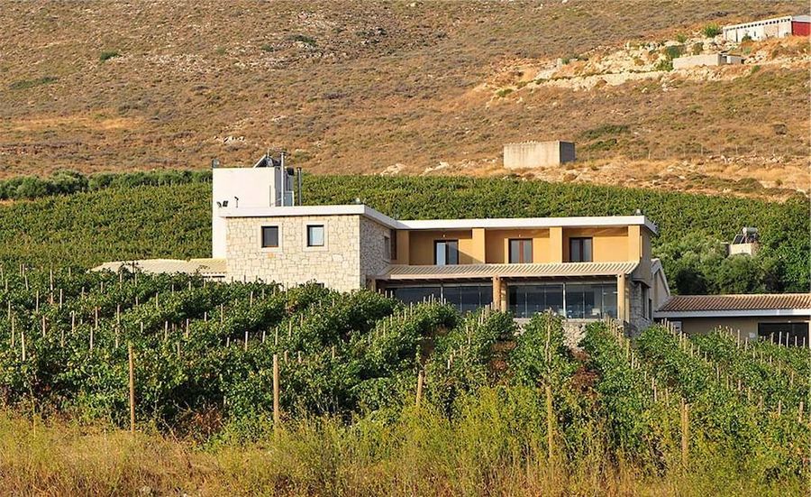 building of Domaine Paterianakis surrounded by vineyards and mountains in the background