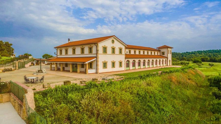 Tzivani Bio Wines building surrounded by vineyards and trees and blue sky in the background